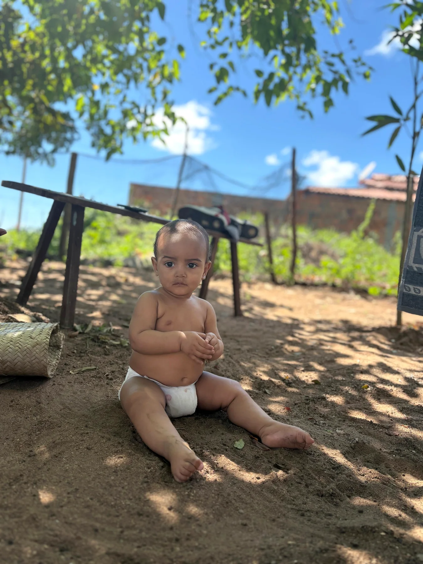 Pequeno explorador